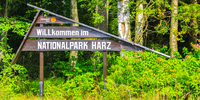 Brinkmann Ihr Reiseparadies Brinkmann Ihr Reiseparadies